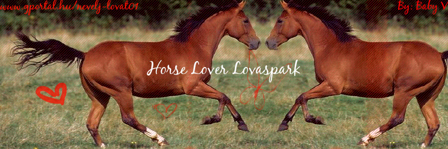 ~~~ Horse Lover Lovaspark ~~~ Summer Love